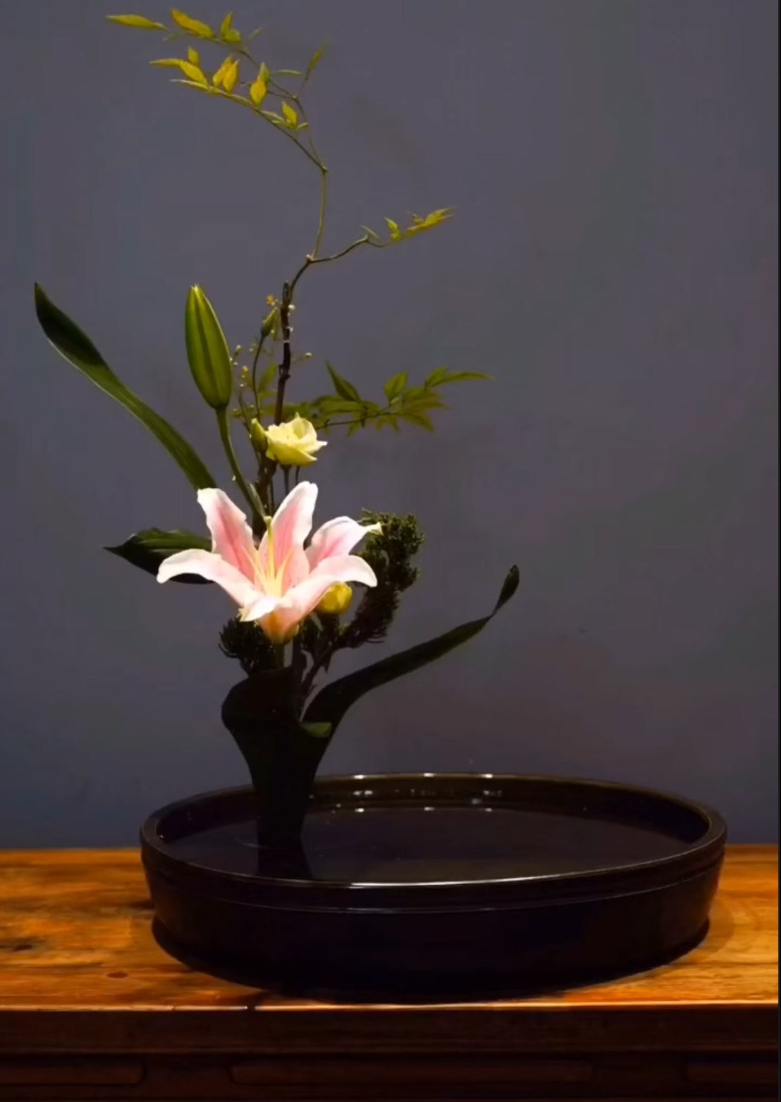 Ikebana K10