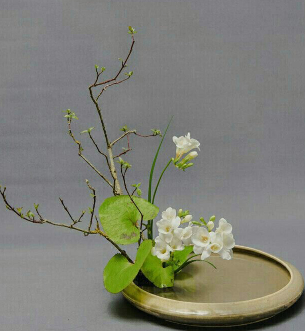 Ikebana K7