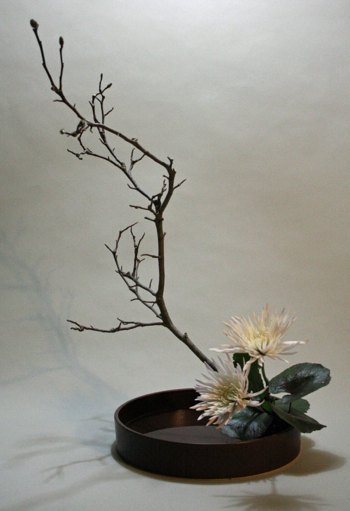 Ikebana K6