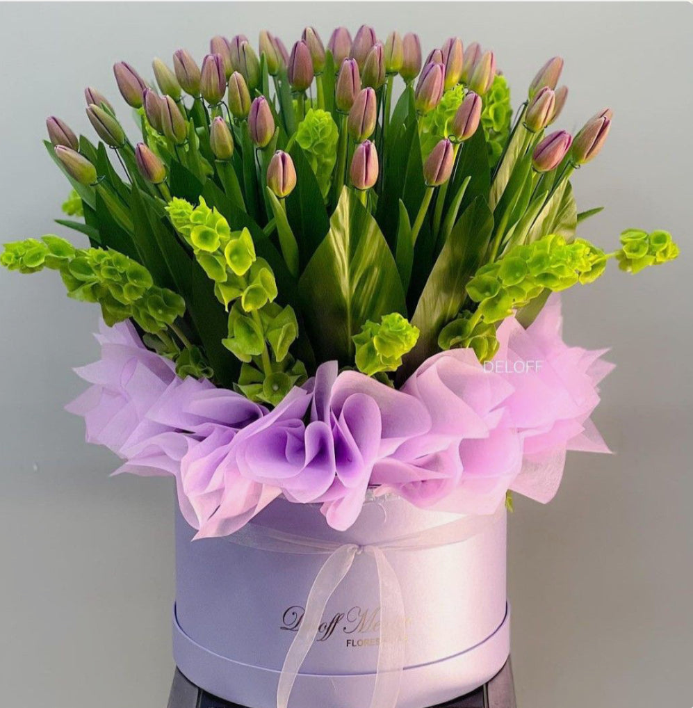Tulpboeketten TB52