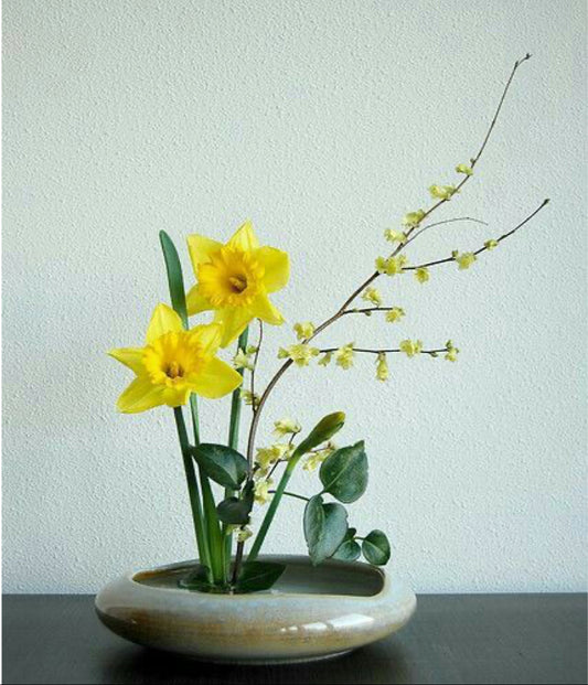 Ikebana K5
